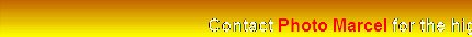 contact.gif